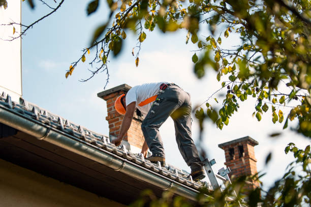Best New Roof Installation  in Cottonwood Heights, UT